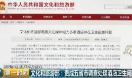 酒店最新爆料视频下载,视频内容深度解析