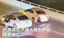 卢浦大桥爆料最新消息,事故原因及现场实况曝光